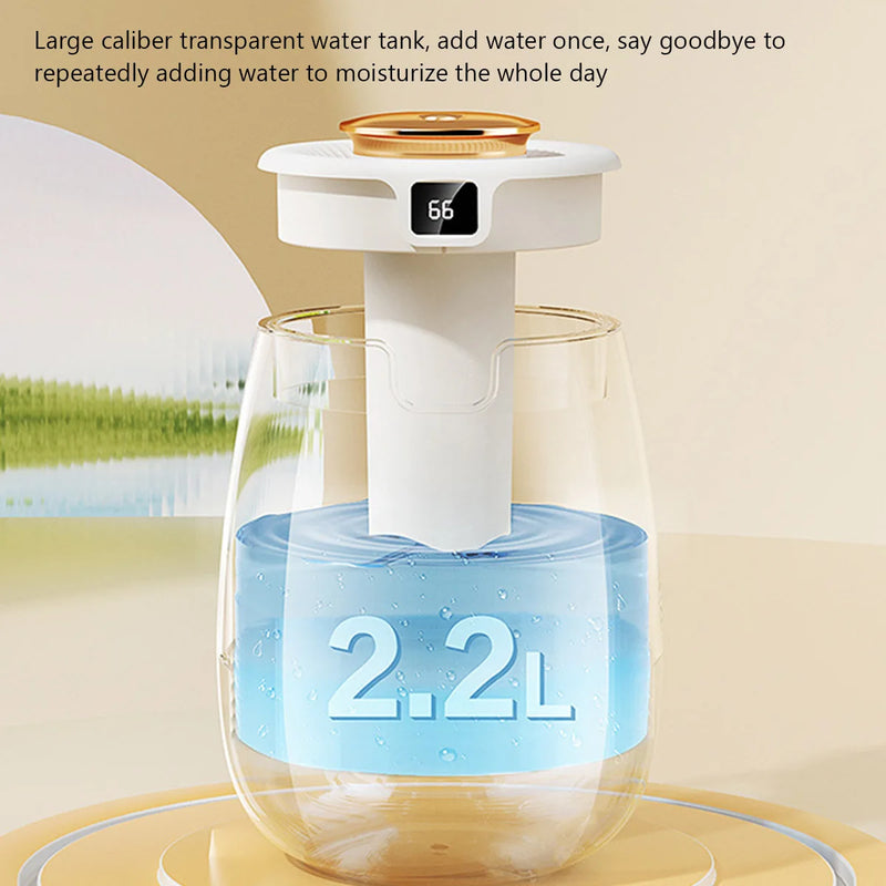 Home  Double Spray Air Humidifier